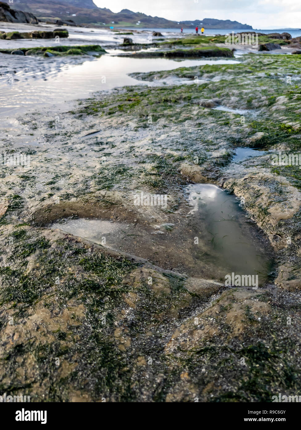 Die berühmten Fußabdrücke von Dinosauriern zu einem corran Strand von staffin auf die Isle of Skye - Schottland Stockfoto