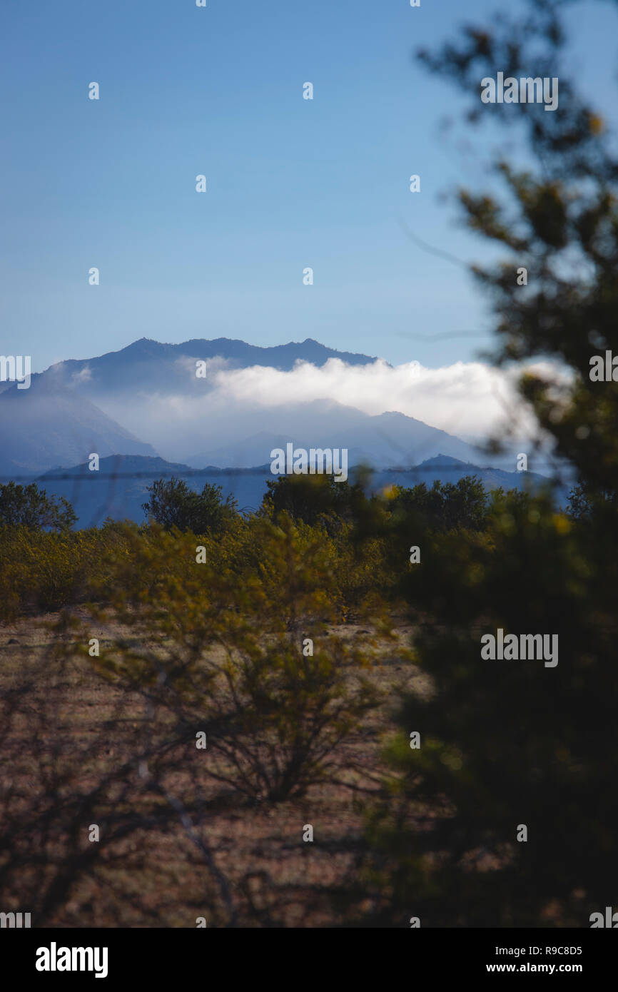 Arizona Berge nach einem Regen Sturm. Stockfoto