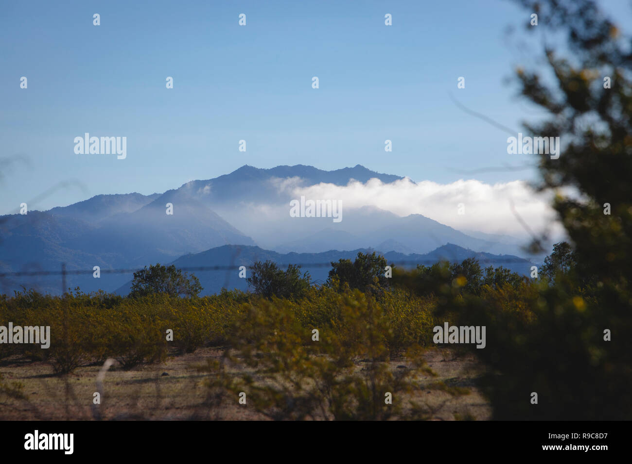 Arizona Berge nach einem Regen Sturm. Stockfoto