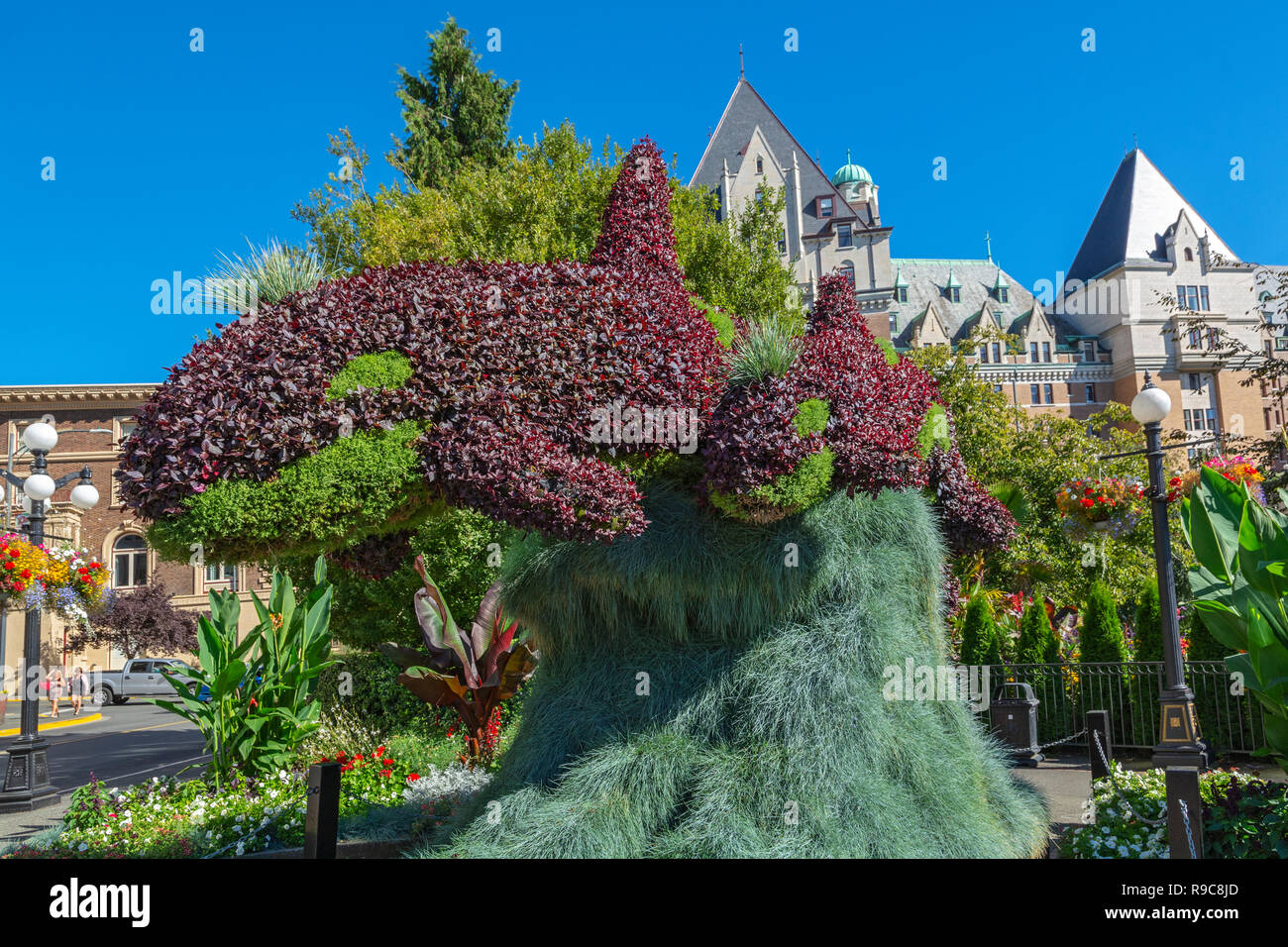 Kanada, British Columbia, Victoria, Formgehölze, Orca, Killer Whale mit Kalb Stockfoto