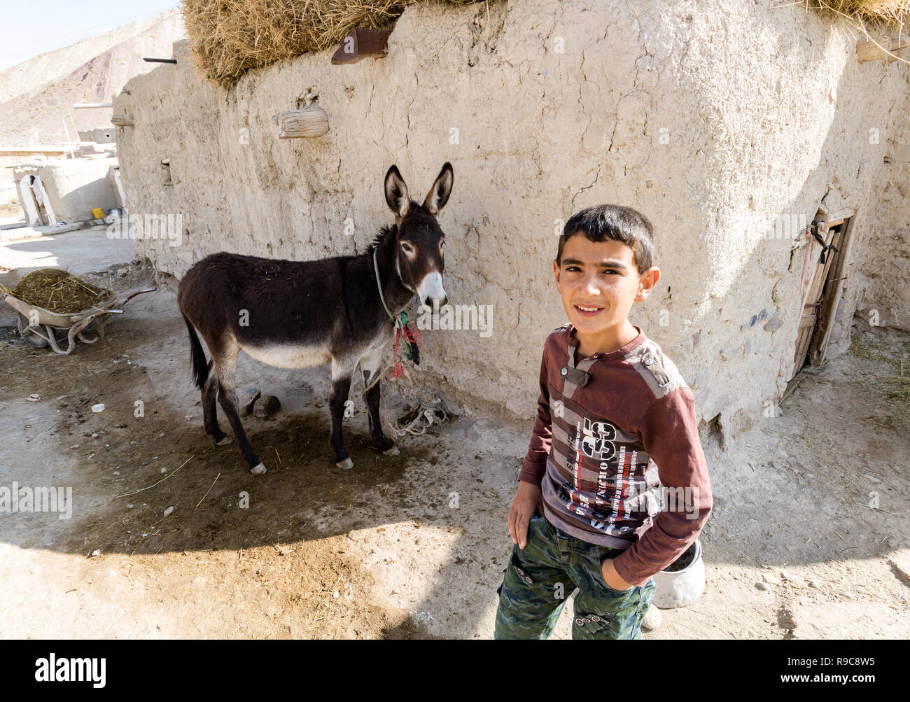 Ein Junge neben der Esel Stockfoto