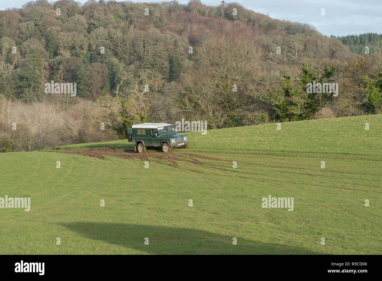 Landrover off road im Feld Stockfoto