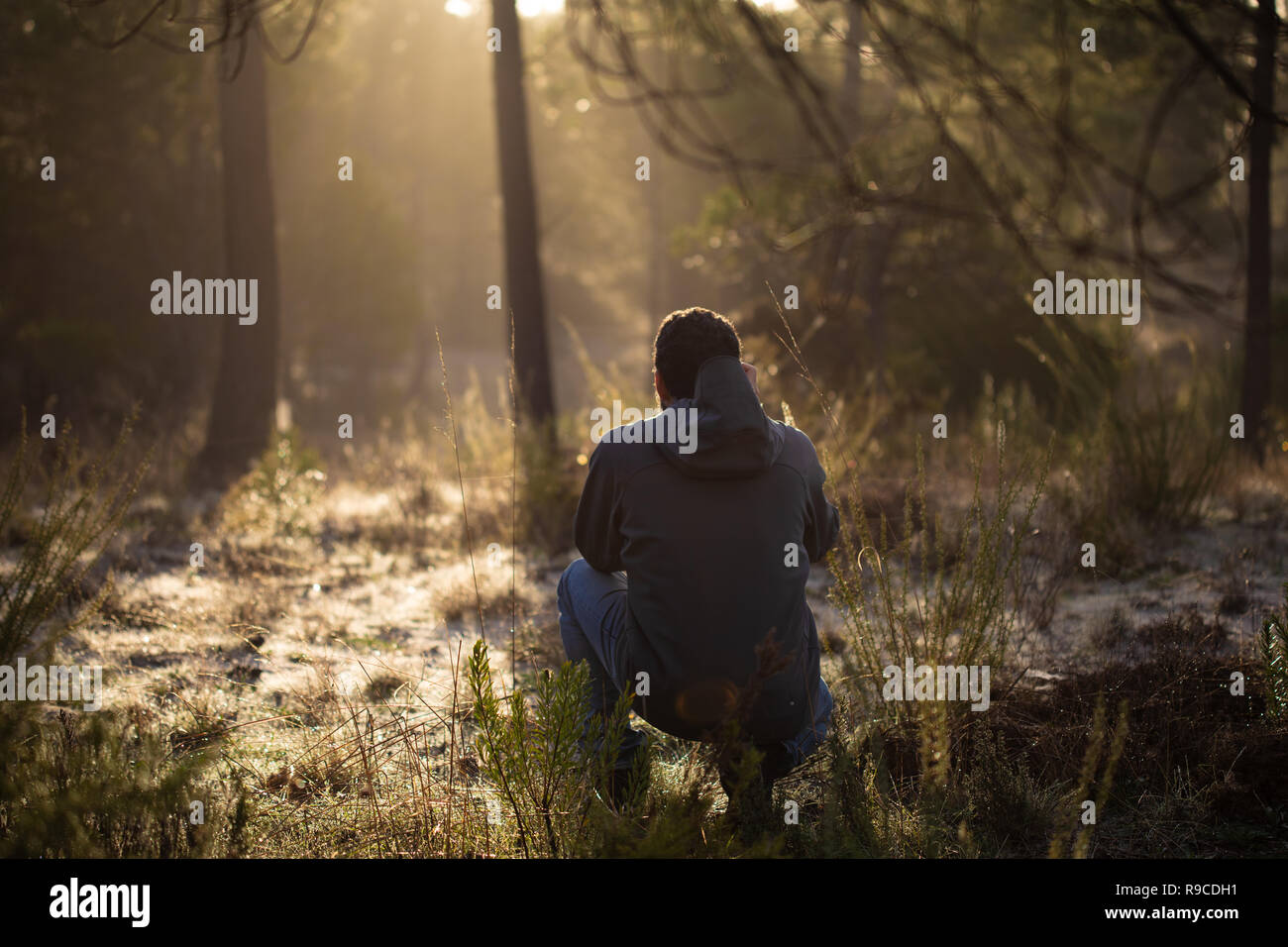 Mann in einem Pinien Wald Stockfoto