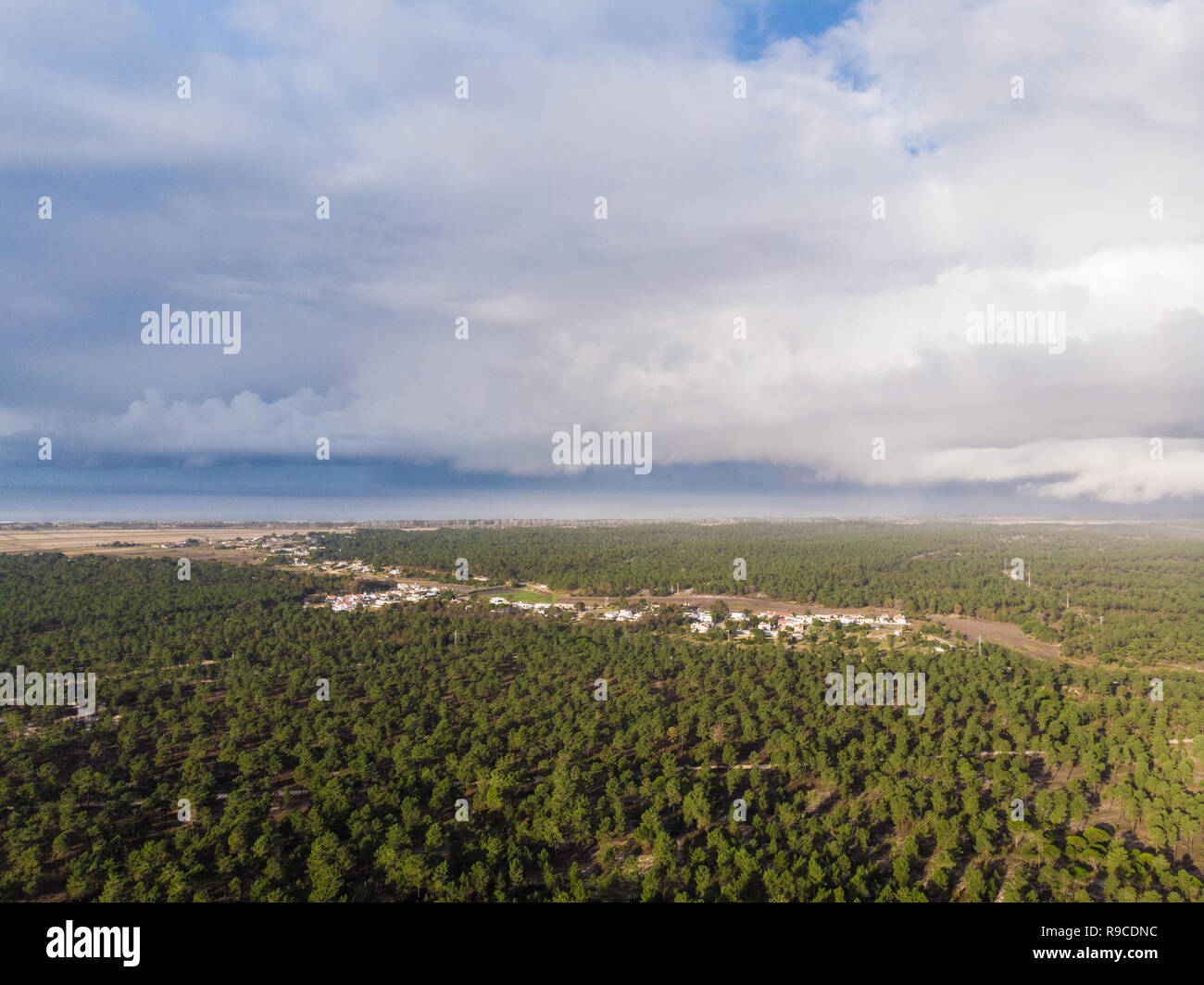 Luftaufnahme der Brejos da carregueira Pinien Wald in Comporta Stockfoto