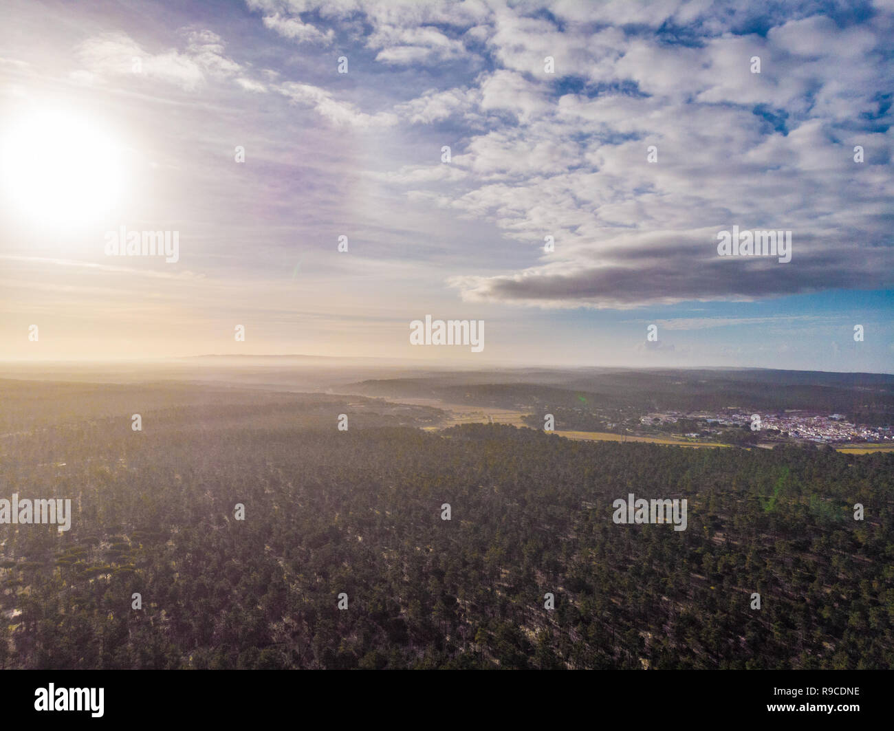 Luftaufnahme der Brejos da carregueira Pinien Wald in Comporta Stockfoto