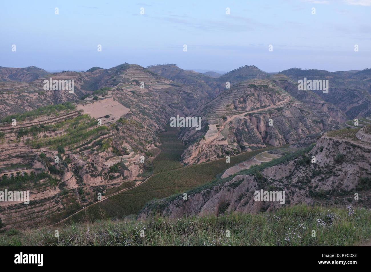 Terrassenfelder auf dem Hügel in China, Provinz Shanxi Stockfoto