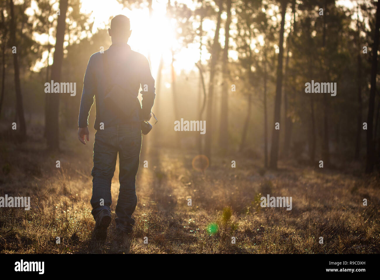 Mann in einem Pinien Wald Stockfoto