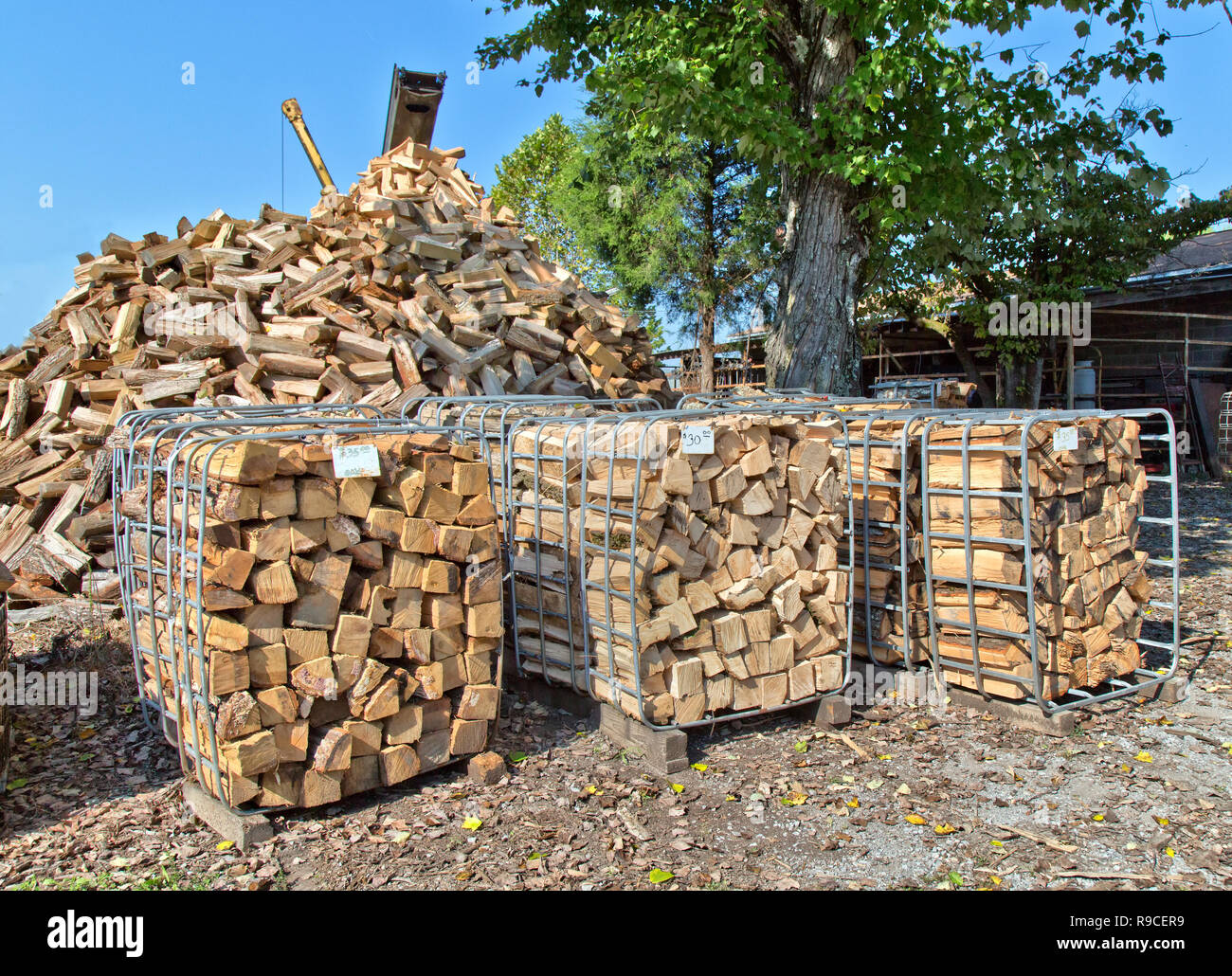 Cut & Split "Eiche", Brennholz, open-end Fächer mit pricetag, Brennholz Betrieb & Vertrieb Hof aufgetürmt. Stockfoto