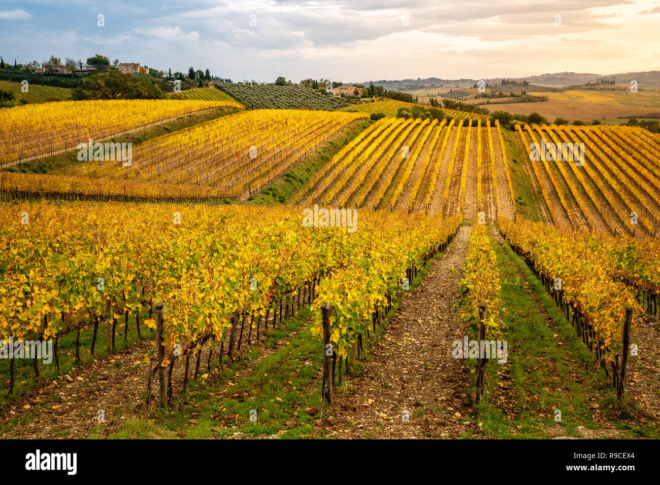 Region Chianti im Herbst, Toskana, Italien Stockfoto