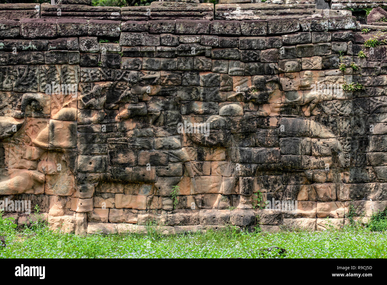 Detail der Elefant Schnitzereien auf der alten sandsteinmauer an der Terrasse der Elefanten, eine Überarbeitung der Plattform von König Jayavarman VII. im 10 centu verwendet Stockfoto