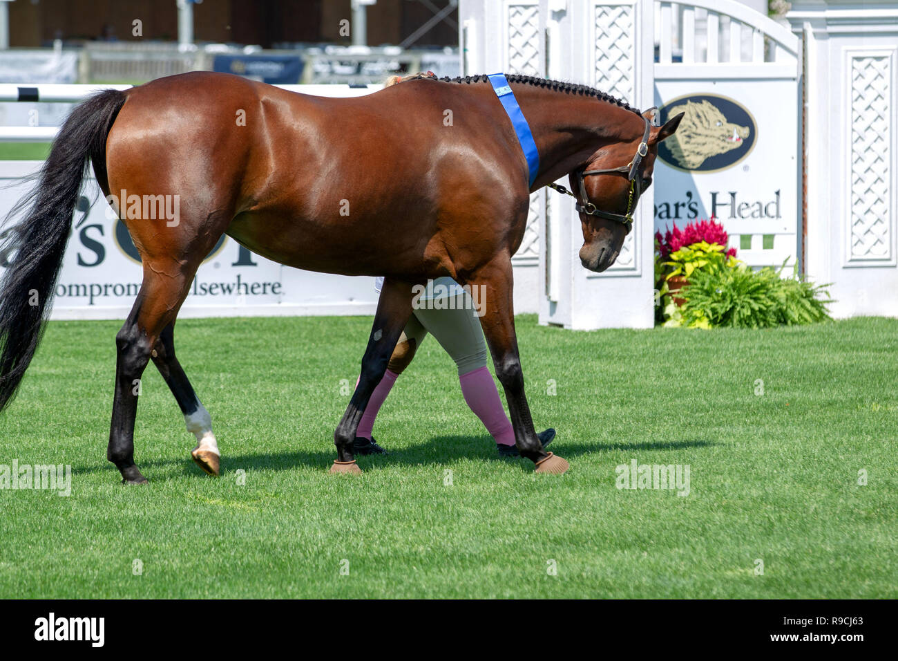 BRIDGEHAMPTON, NY - 26. August: Atmosphäre im Hampton Classic Horse Show Gelände am 26. August 2018 in Bridgehampton, New York. (Foto von Steve Mack/S.D. Mack Bilder) Stockfoto