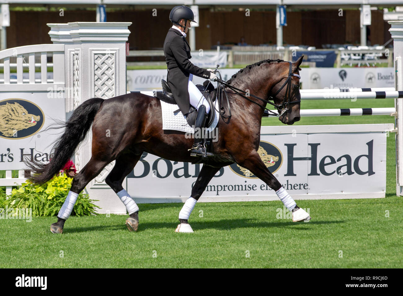 BRIDGEHAMPTON, NY - 26. August: Atmosphäre im Hampton Classic Horse Show Gelände am 26. August 2018 in Bridgehampton, New York. (Foto von Steve Mack/S.D. Mack Bilder) Stockfoto