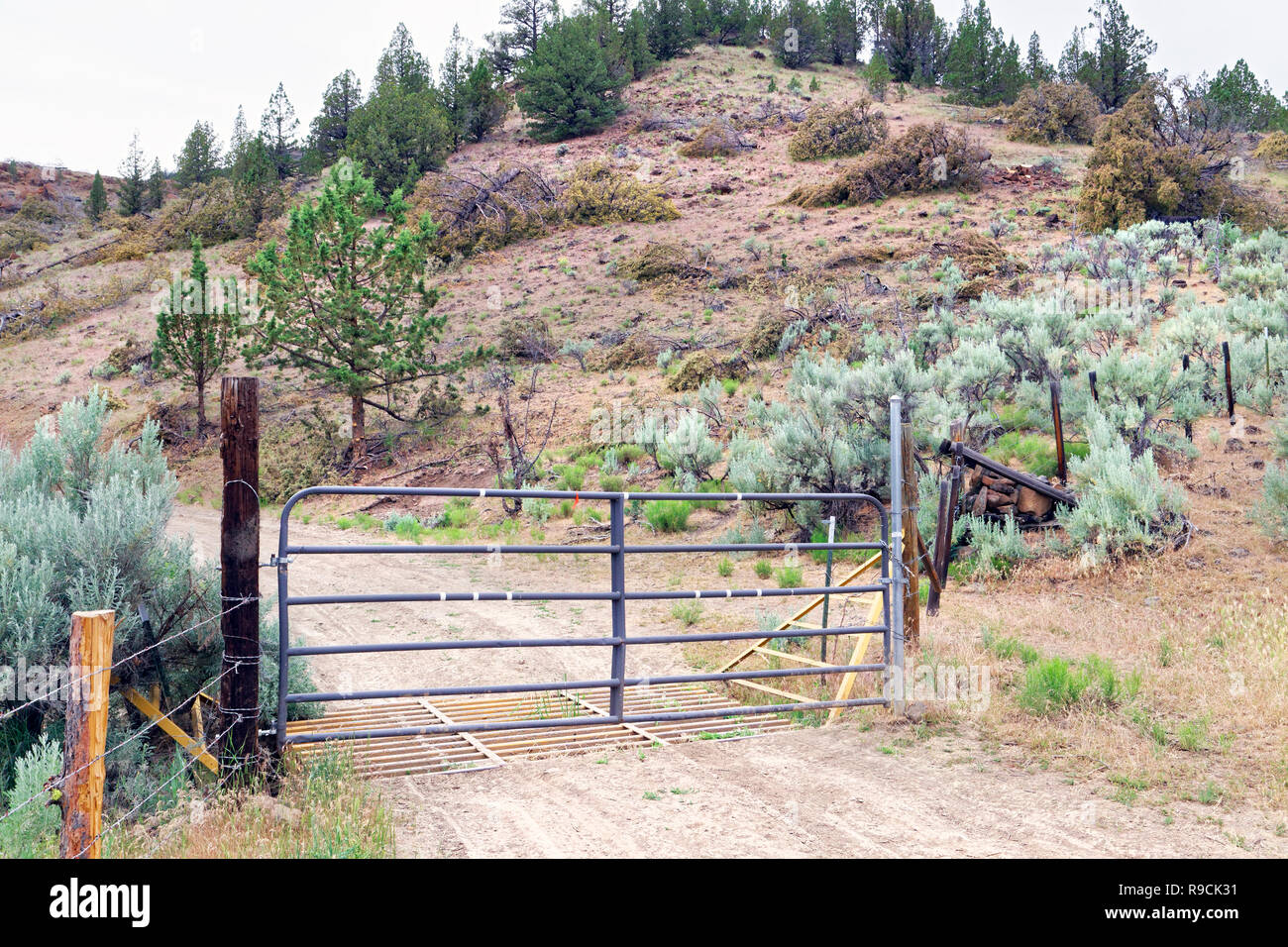 42,893.03521 Metall BLM Tor auf einer Lane Schmutz ländlichen Hinterland Straße in der hohen Wüste, ständigen und Schneiden, Wacholder & sagebrush, Oregon, USA Stockfoto