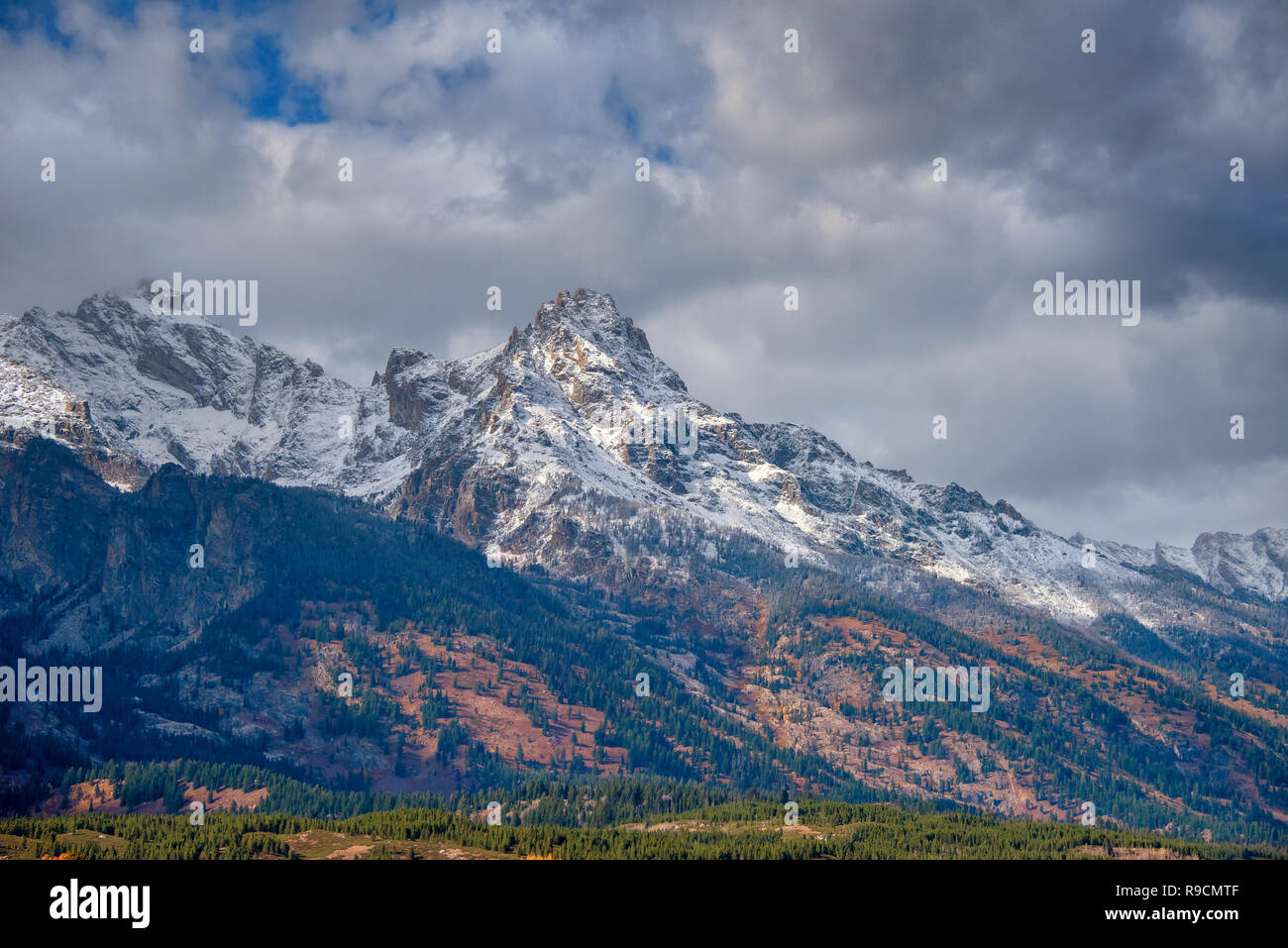 Grand Teton Bergkette nach einem späten Herbst Schneefall Stockfoto