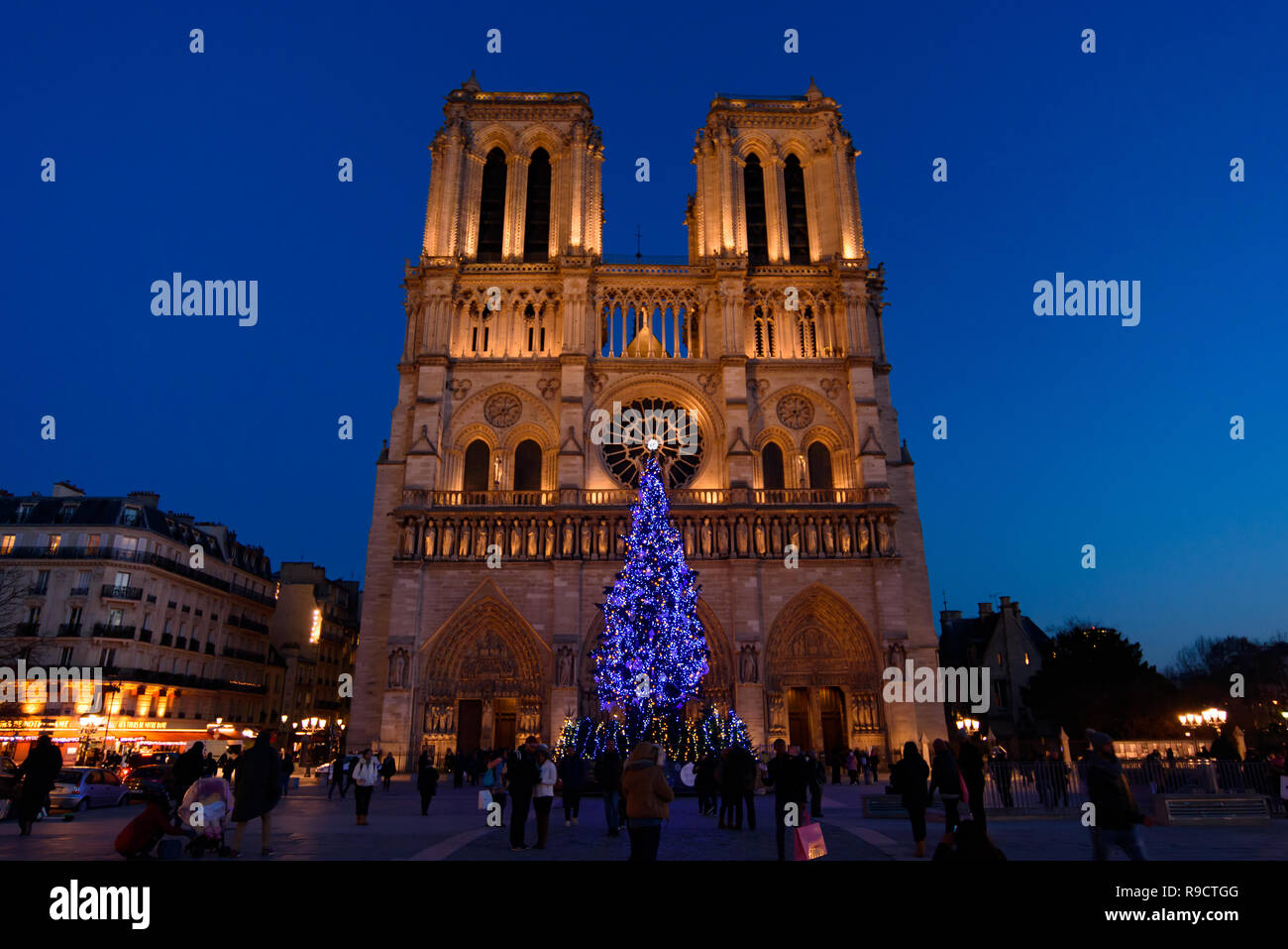 Weihnachtsbaum vor der Notre Dame, Paris, Frankreich Stockfoto
