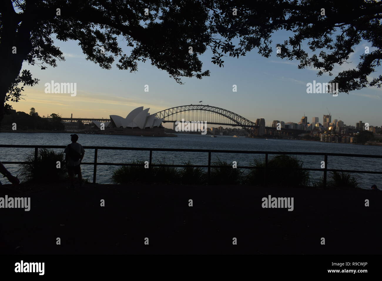 Opernhaus und Harbour Bridge Stockfoto