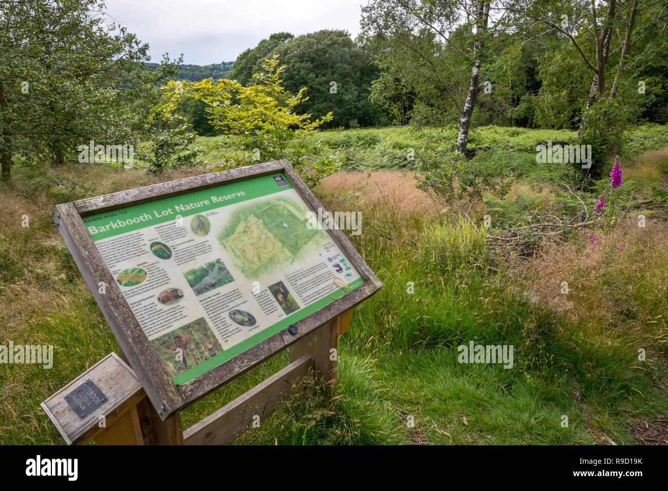 Viel Barkbooth; Naturschutzgebiet Information Board, Cumbria, Großbritannien Stockfoto