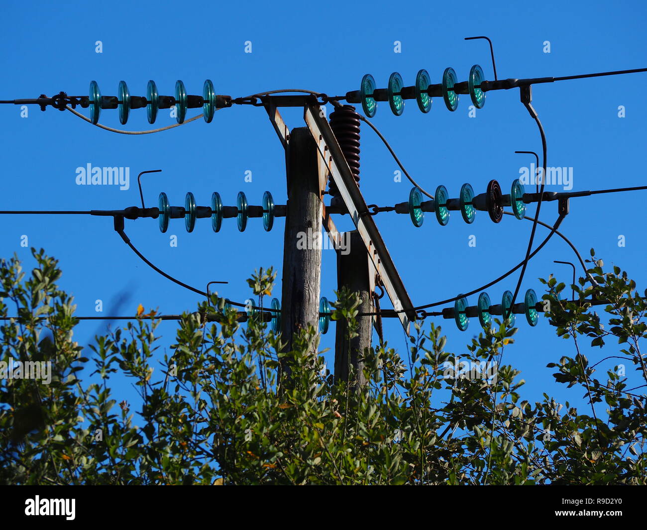 Overhead strom Stromleitungen mit blauem Glas Isolator Festplatten oberhalb der Hecke mit einem klaren blauen Himmel Stockfoto