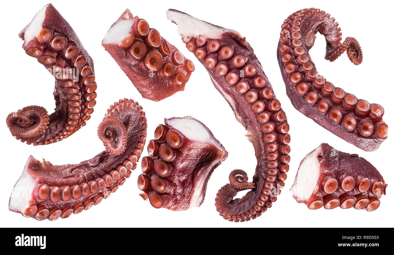 Stücke von gekochtem Teufel - Fisch oder Octopus Tentakeln (Arme). Datei enthält Beschneidungspfade. Stockfoto