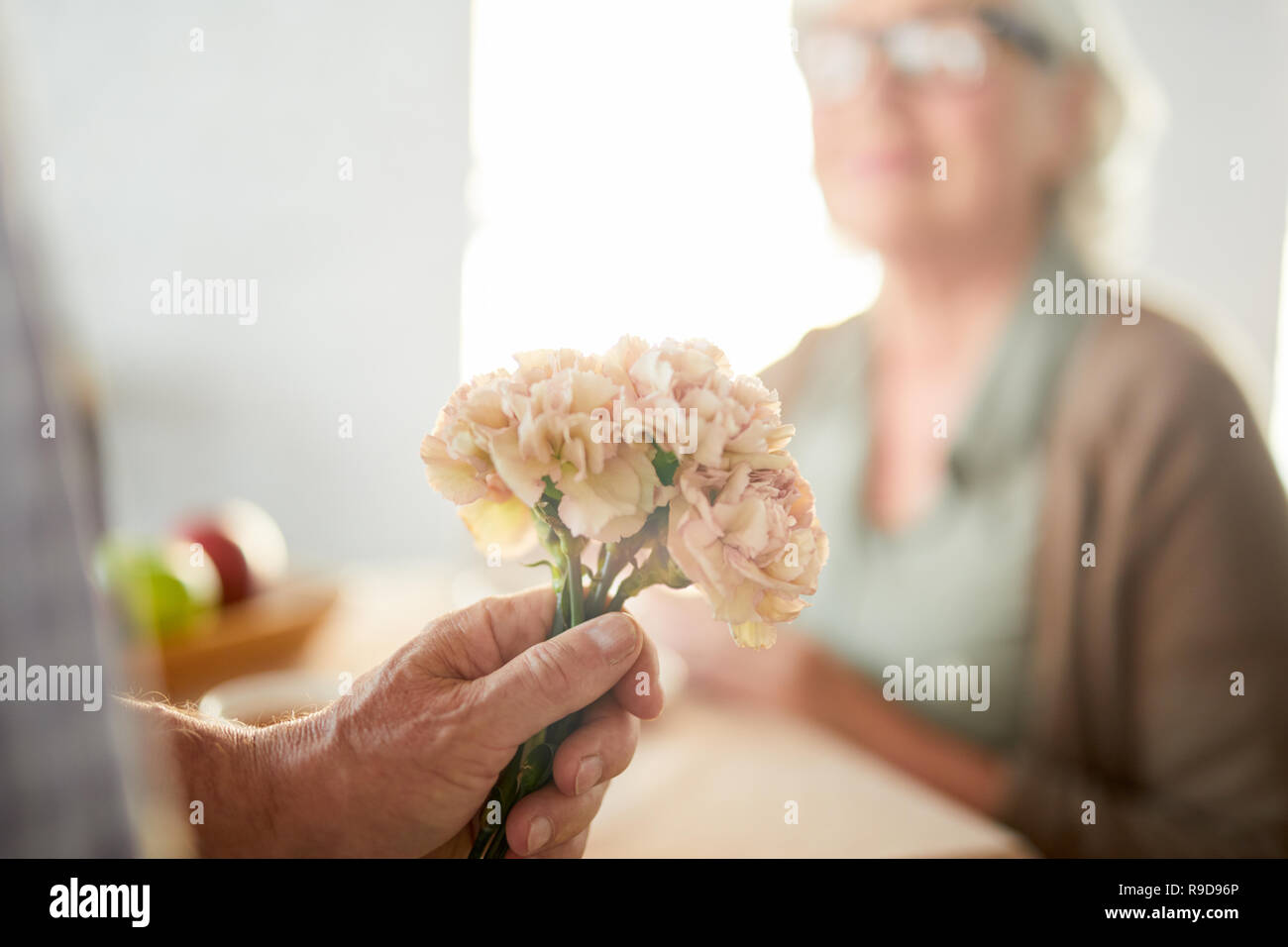 Frische Nelken Stockfoto