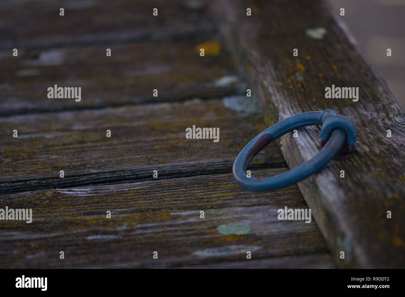 Hölzerne Seebrücke, Hafen, neusiedlersee, Österreich Stockfoto