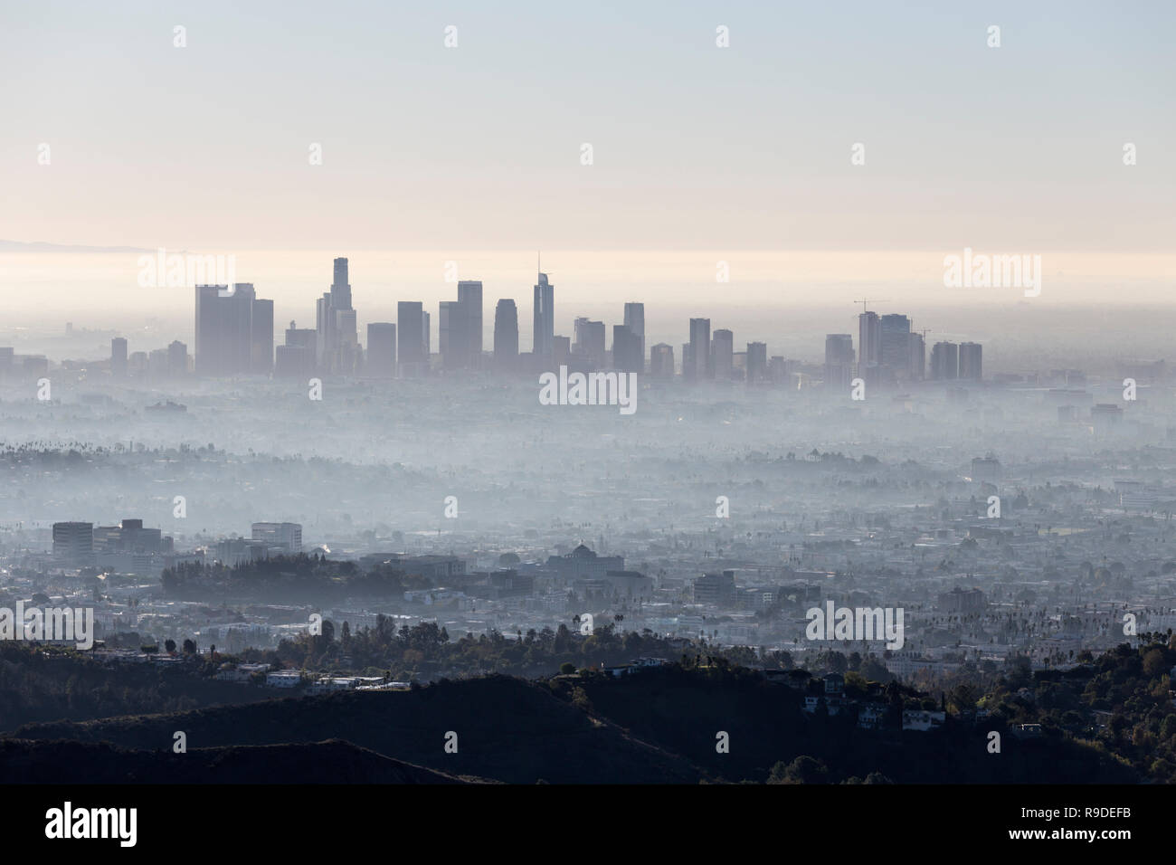 Morgennebel Stadtbild Blick auf die Innenstadt von Los Angeles aus beliebten Griffith Park in der Nähe von Hollywood Kalifornien. Stockfoto