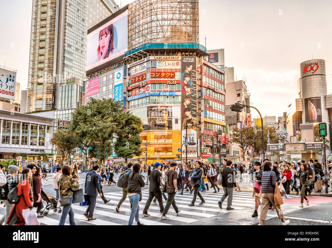 Geschäftige Shibuya Streetscape im Morgengrauen, Tokio, Japan Stockfoto