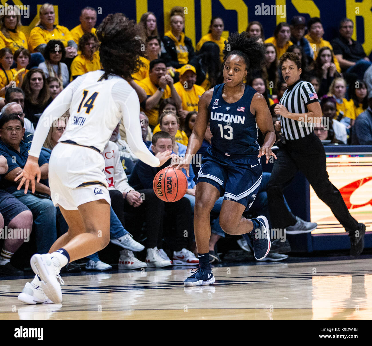 Hass Pavillon Berkeley Calif, USA. 22 Dez, 2018. Usa Connecticut Schlittenhunde guard Christyn Williams (13) bringt den Ball Gericht während der Basketball Spiel der NCAA Frauen zwischen Connecticut Schlittenhunde und den Kalifornien goldenen Bären 76-66 Gewinn an Hass Pavillon Berkeley Calif Thurman James/CSM/Alamy leben Nachrichten Stockfoto