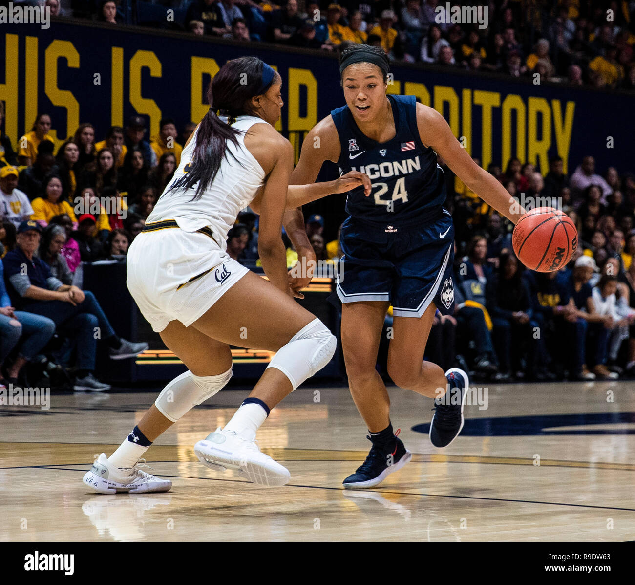 Hass Pavillon Berkeley Calif, USA. 22 Dez, 2018. Usa Connecticut vorwärts Napheesa Collier (24) Laufwerke mit dem Korb beim Basketballspiel der NCAA Frauen zwischen Connecticut Schlittenhunde und den Kalifornien goldenen Bären 76-66 Gewinn an Hass Pavillon Berkeley Calif Thurman James/CSM/Alamy leben Nachrichten Stockfoto