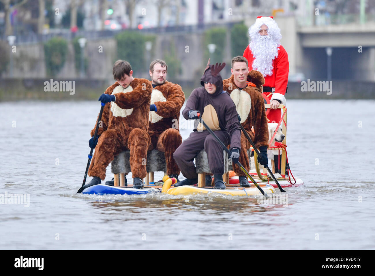 Heidelberg, Deutschland. 23 Dez, 2018. Die ständigen Paddler Thorsten