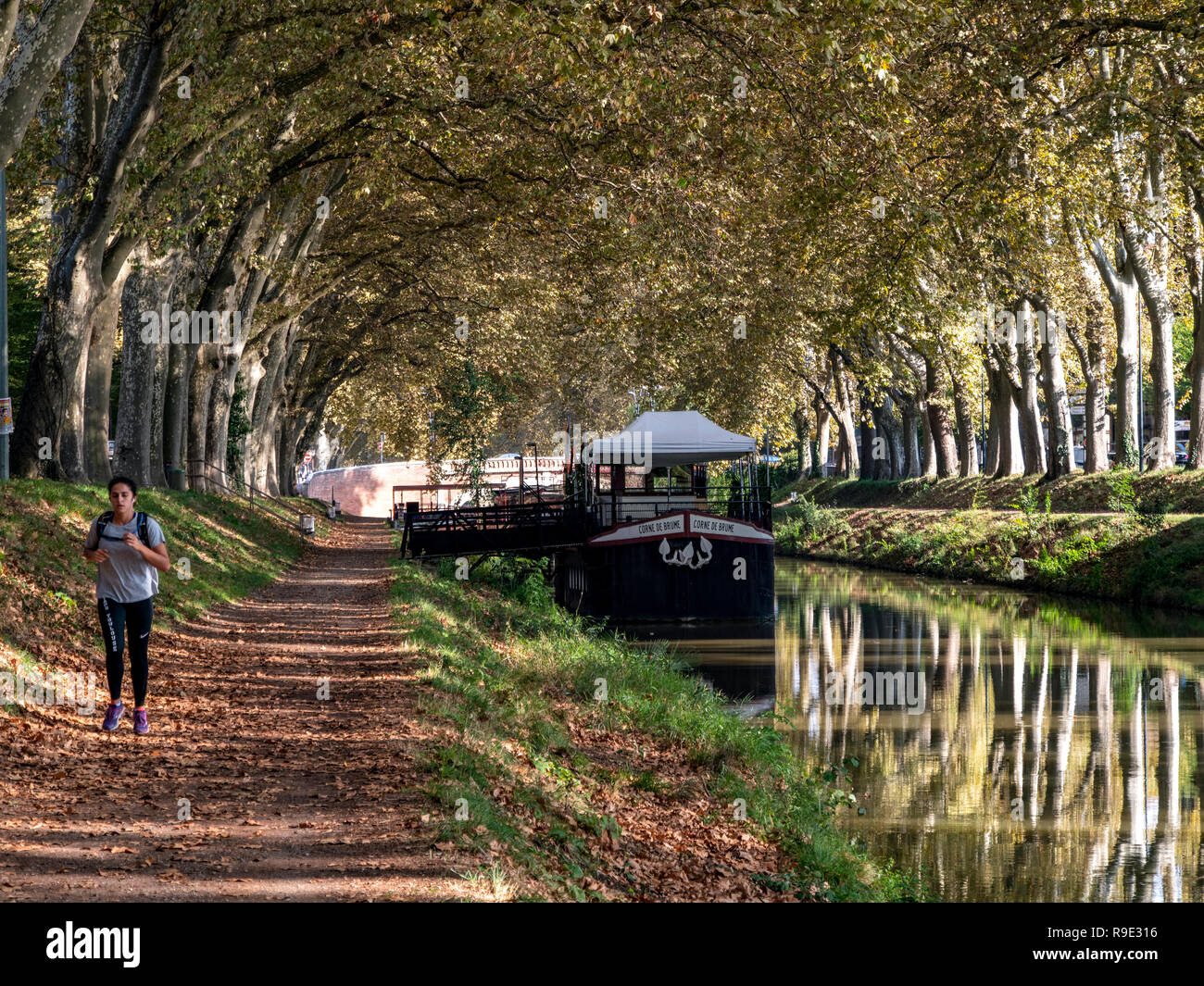 Frankreich. Haute-Garonne (31), Toulouse. Jogger auf dem Canal du Midi Stockfoto