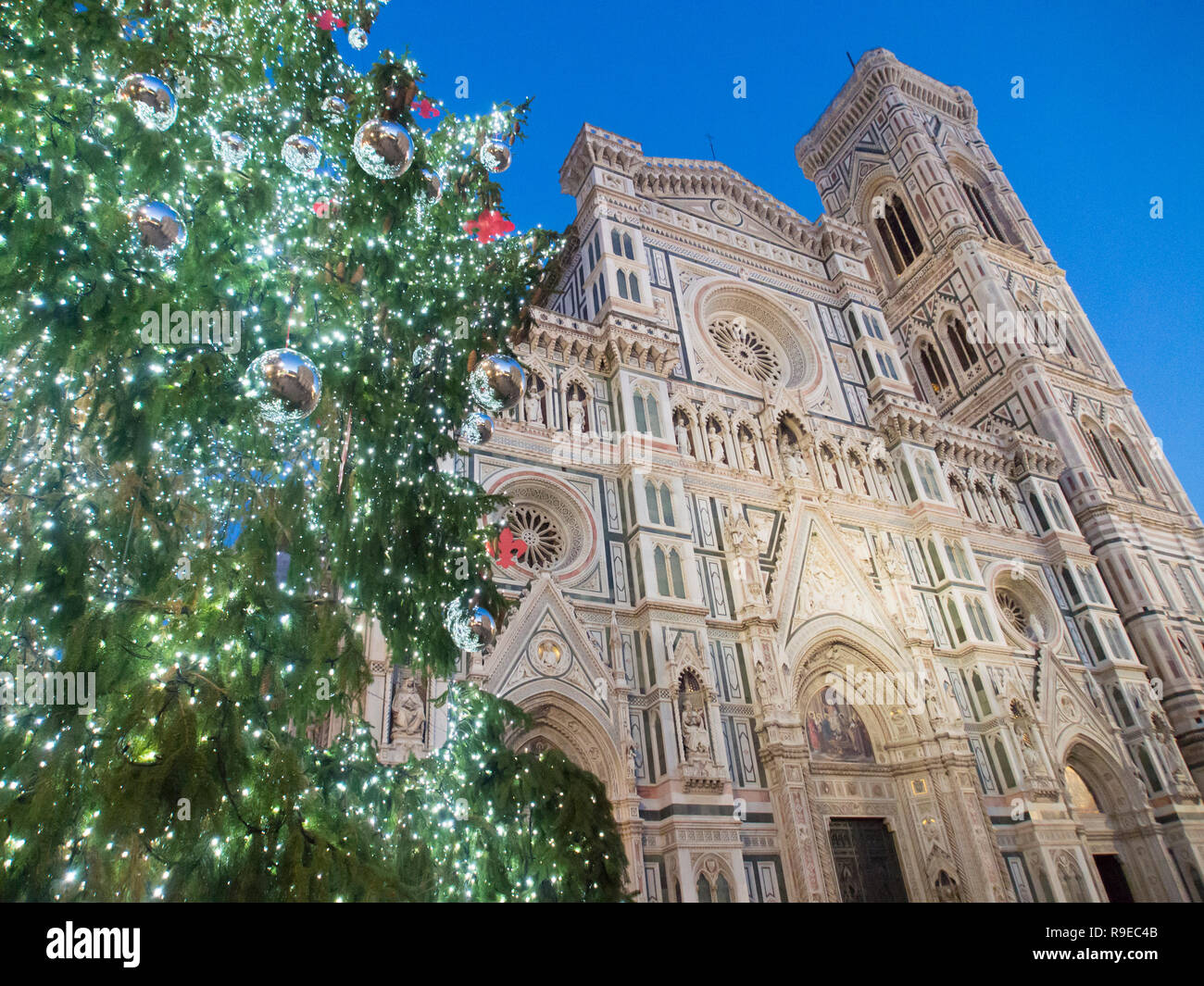 Italien, Toskana, Florenz, Dom an Weihnachten und Weihnachtsbaum. Stockfoto