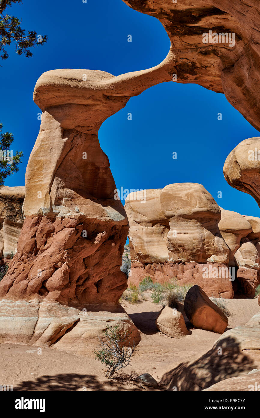 Metate Arch im Devils Garden, Grand Staircase-Escalante National Monument, Utah, USA, Nordamerika Metate Arch im Devils Garden, Grand Staircase - Stockfoto