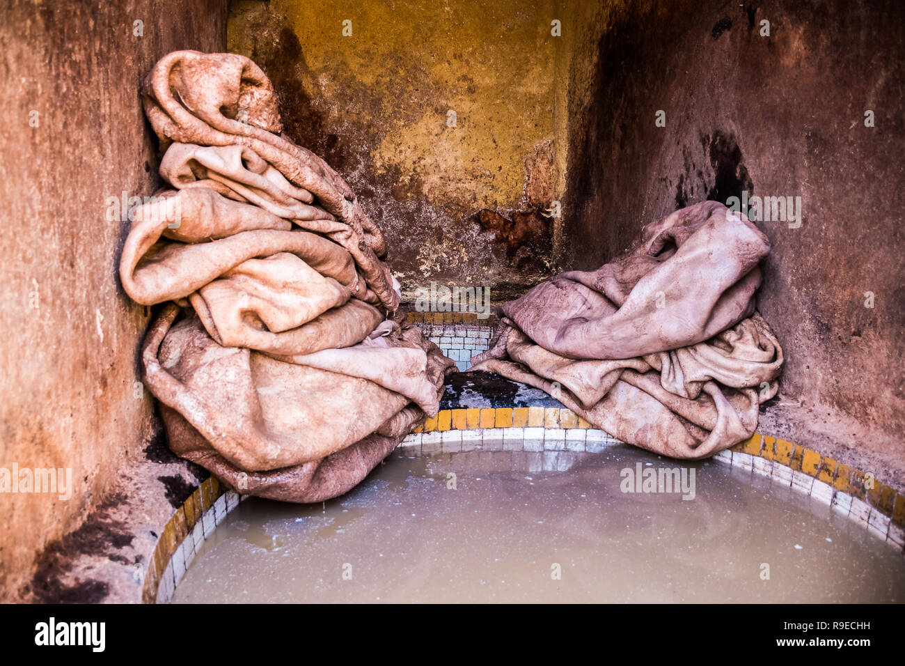 Processiong Rohstoff Leder Gerbereien von Fes, Marokko, Afrika Stockfoto
