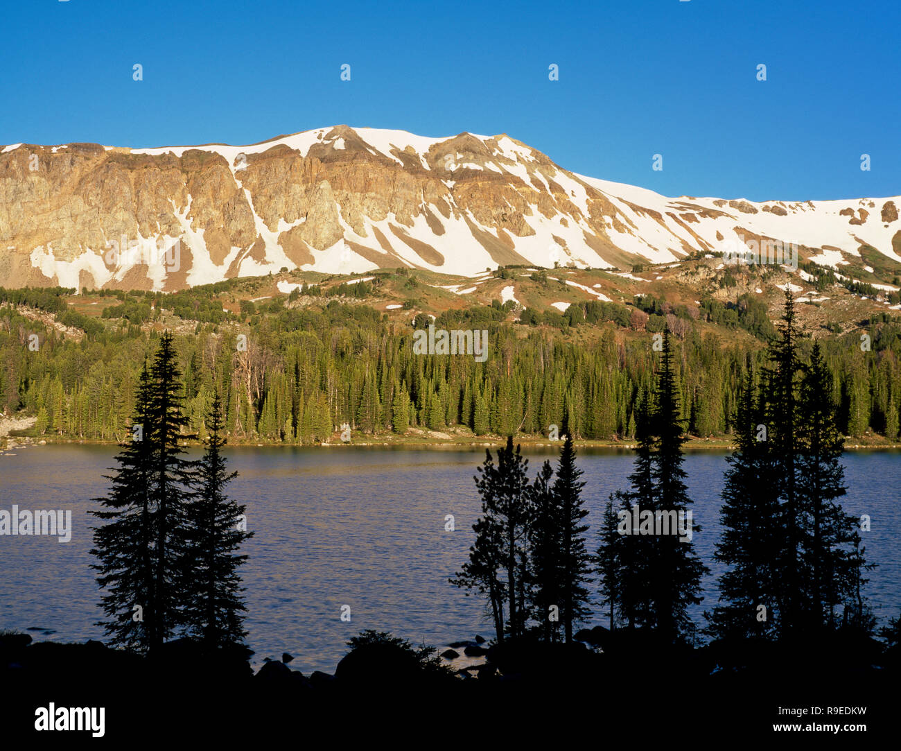 Runde See unterhalb Sheep Mountain in der beartooth Range in der Nähe von Cooke City, Montana Stockfoto