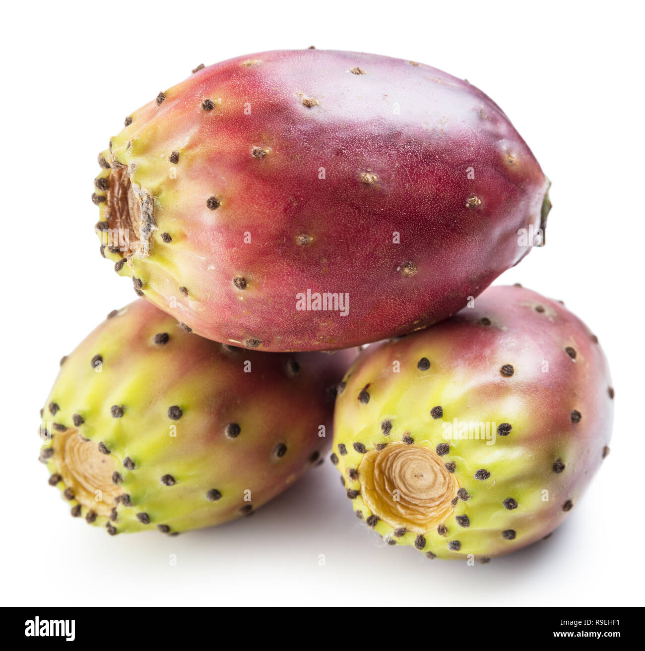 Feigenkaktus Opuntia, Obst oder Früchte auf weißem Hintergrund. Close-up. Stockfoto