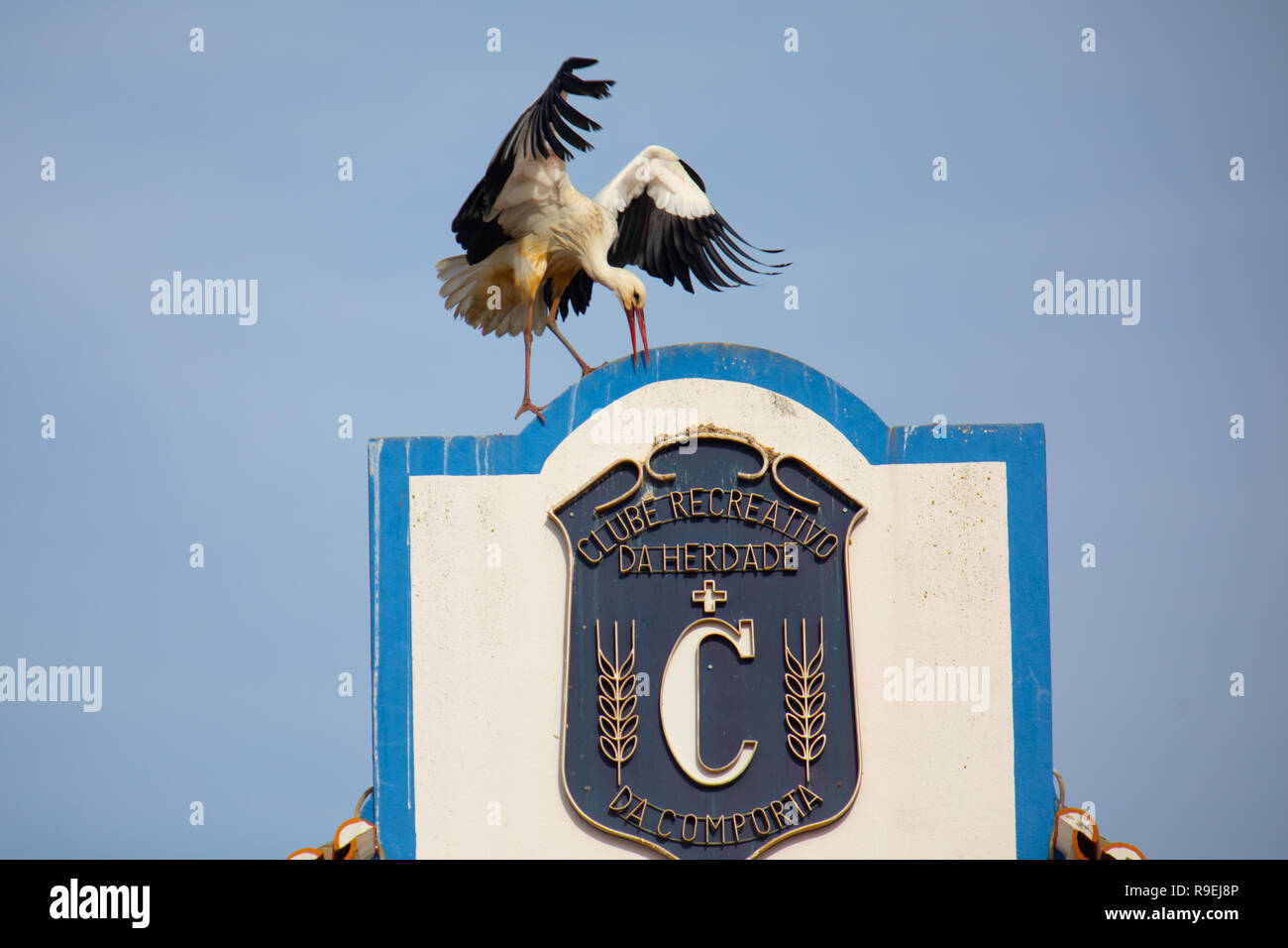 Weißstorch-Nesting über Gebäude in Comporta, Portugal Stockfoto