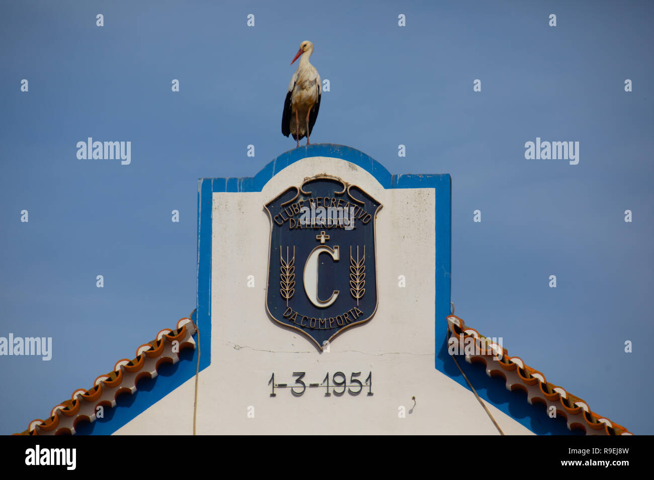 Weißstorch-Nesting über Gebäude in Comporta, Portugal Stockfoto