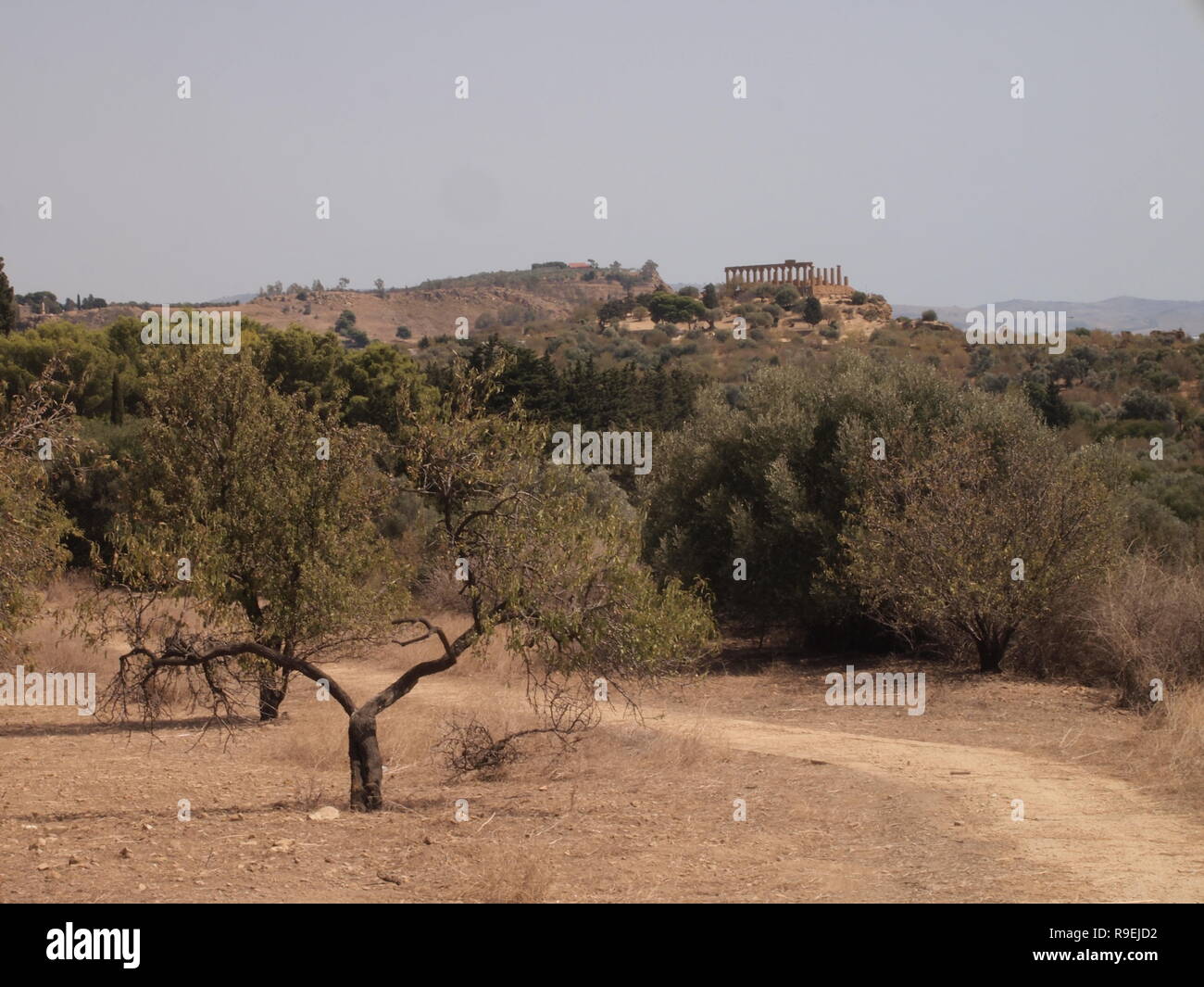 Landschaft im Tal der Tempel, Sizilien, Italien Stockfoto