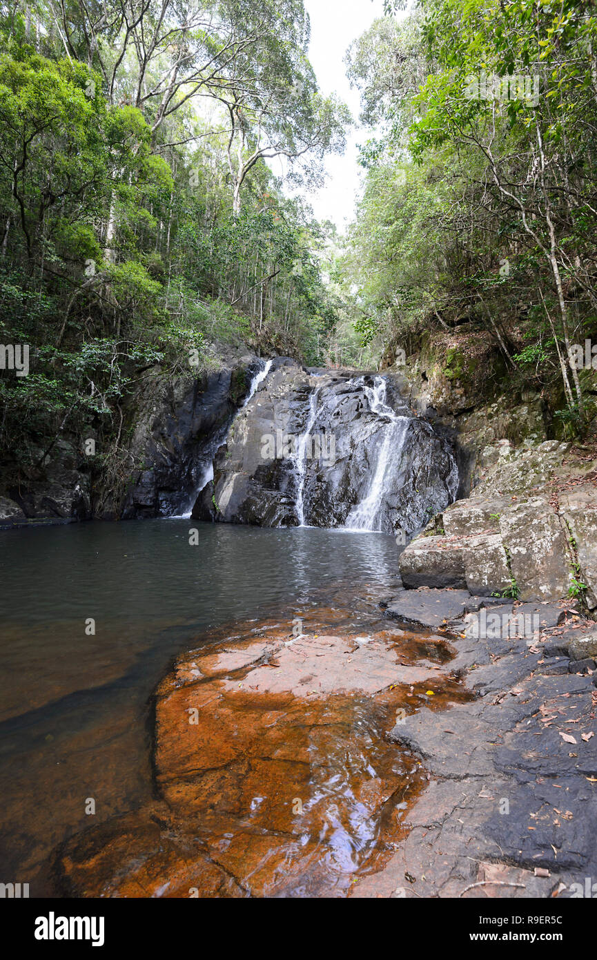 Abendessen fällt sind im oberen Teil des Barron River, Hypipamee National Park, Atherton Tableland, Far North Queensland, FNQ, QLD, Australien Stockfoto