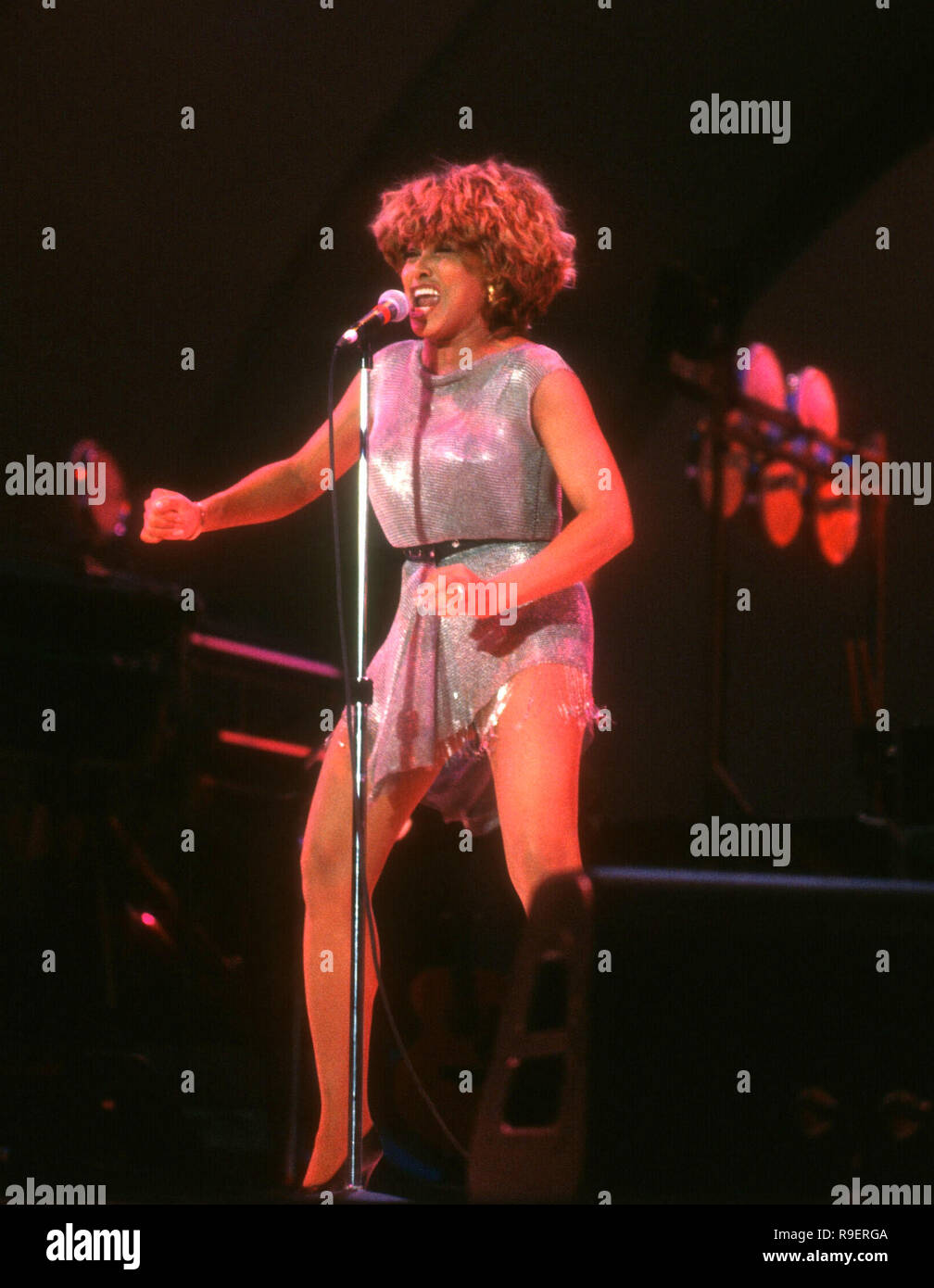 HOLLYWOOD, CA - 3. JUNI: Sängerin Tina Turner führt an der 7. jährlichen Kalifornien Modebranche Freunde der AIDS-Projekt Los Angeles (APLA) Abendessen und Fashion Show zu Ehren Calvin Klein in der Hollywood Bowl in Hollywood, Kalifornien. Foto von Barry King/Alamy Stock Foto Stockfoto