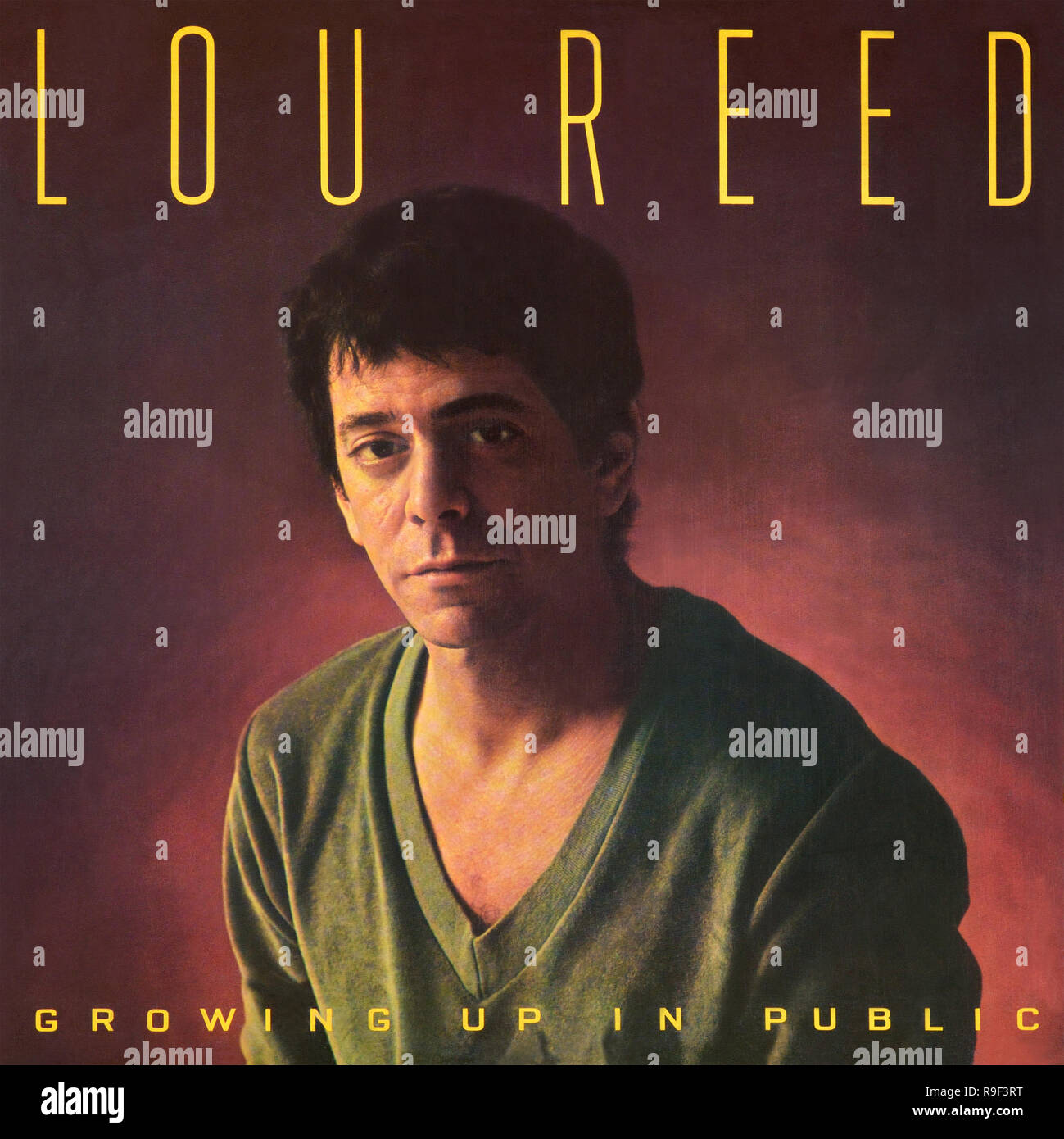 Lou Reed - original Vinyl Album Cover - in der Öffentlichkeit aufgewachsen - 1980 Stockfoto