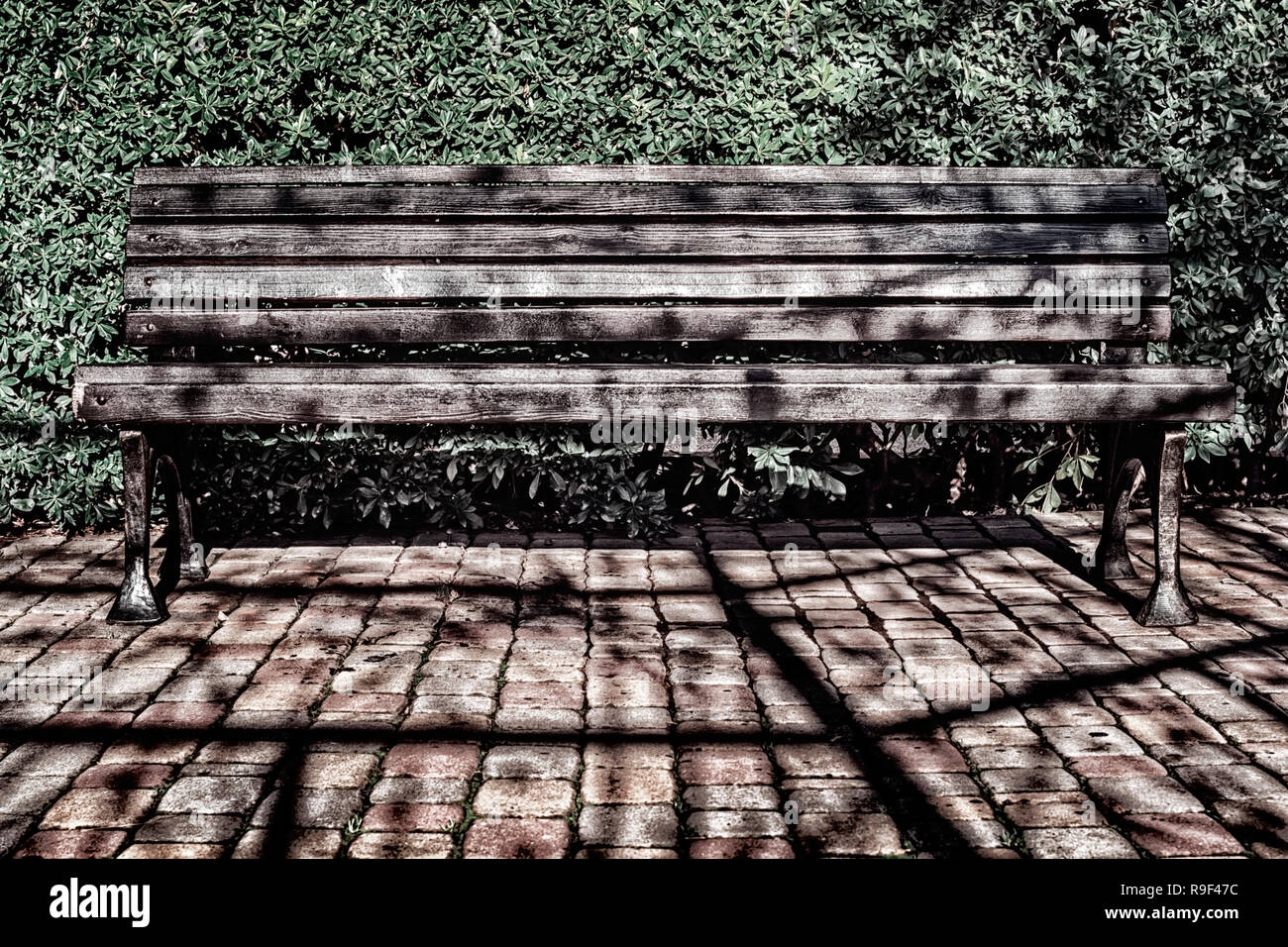 Schwarze Sitzbank an einem sonnigen Tag auf dem Hintergrund von Laub und Pflastersteine mit geschmiedeten Beine in grunge Stil Stockfoto