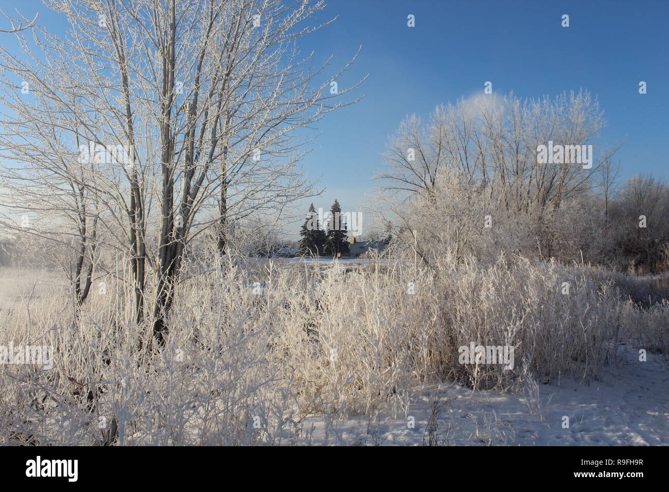 Dieses Foto wurde während der Sunrise an den Ufern des St. Lawrence River bei minus 20 Grad Celsius unter Null. Stockfoto