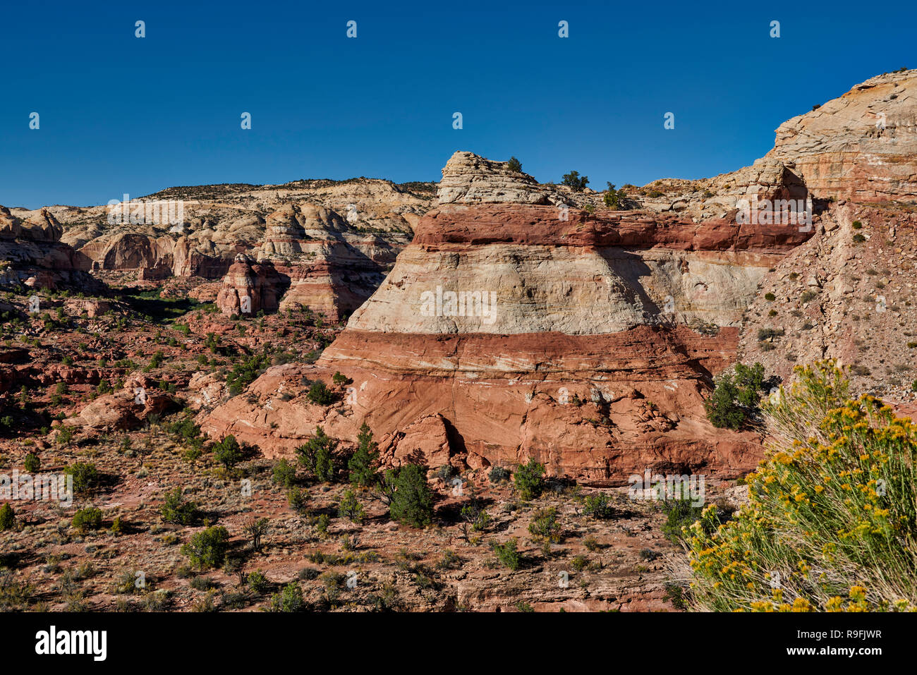 Grand Staircase-Escalante National Monument, Utah, USA, Nordamerika Stockfoto