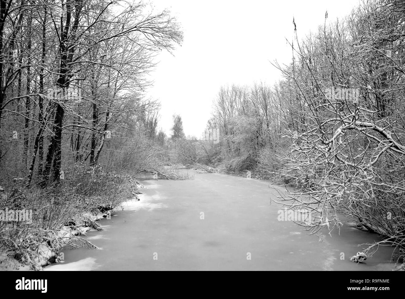 Blick auf einem vereisten Stream mit dichten Büschen und Bäumen auf beiden Seiten - Winterlandschaft. Schwarz-weiß-Bild. Naturschutzgebiet "Riethoek' (Reedcorner), ein Stockfoto