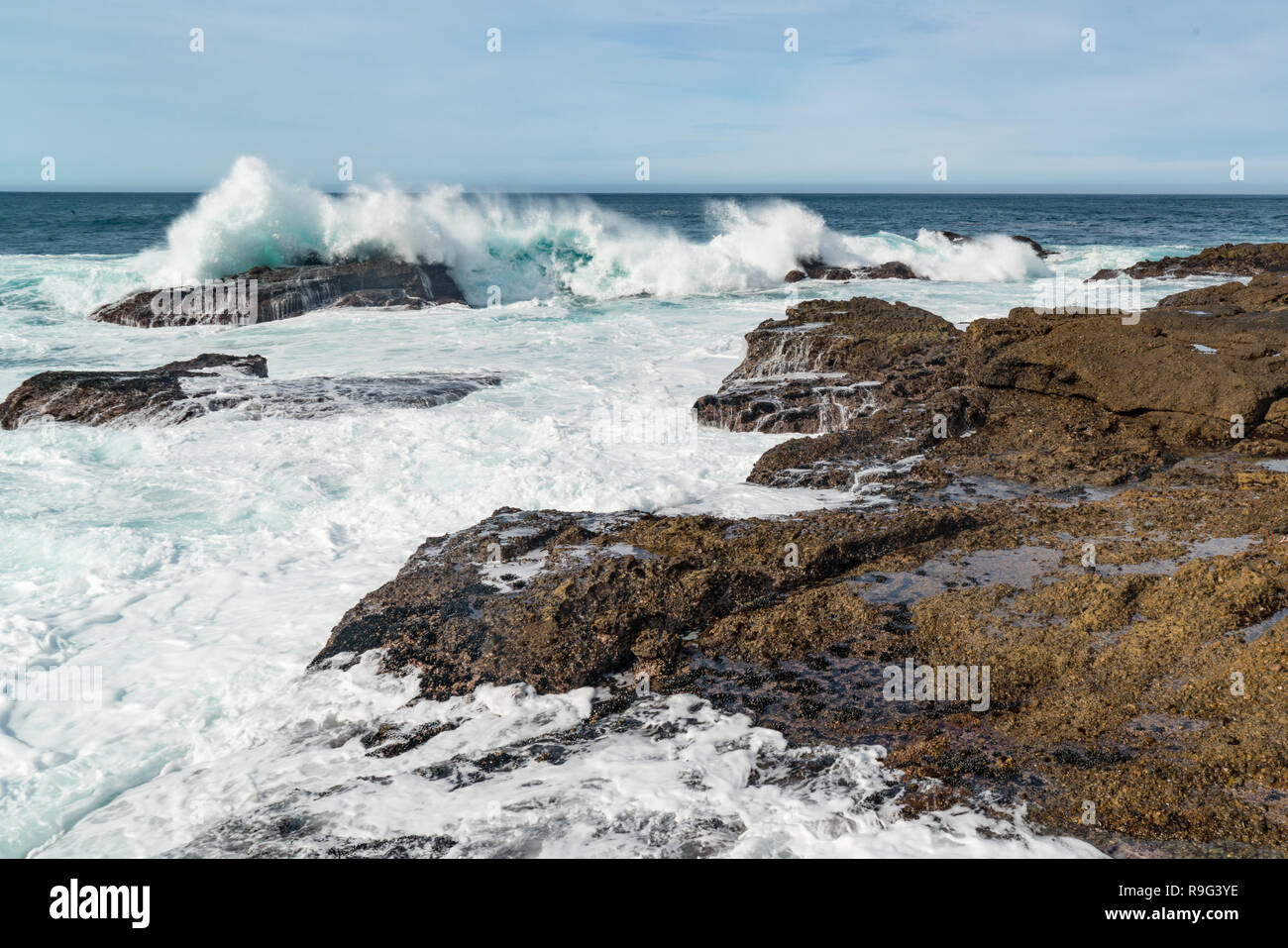 Wellen, die an den Felsen der Point Lobos in der Nähe von Carmel, Kalifornien Stockfoto