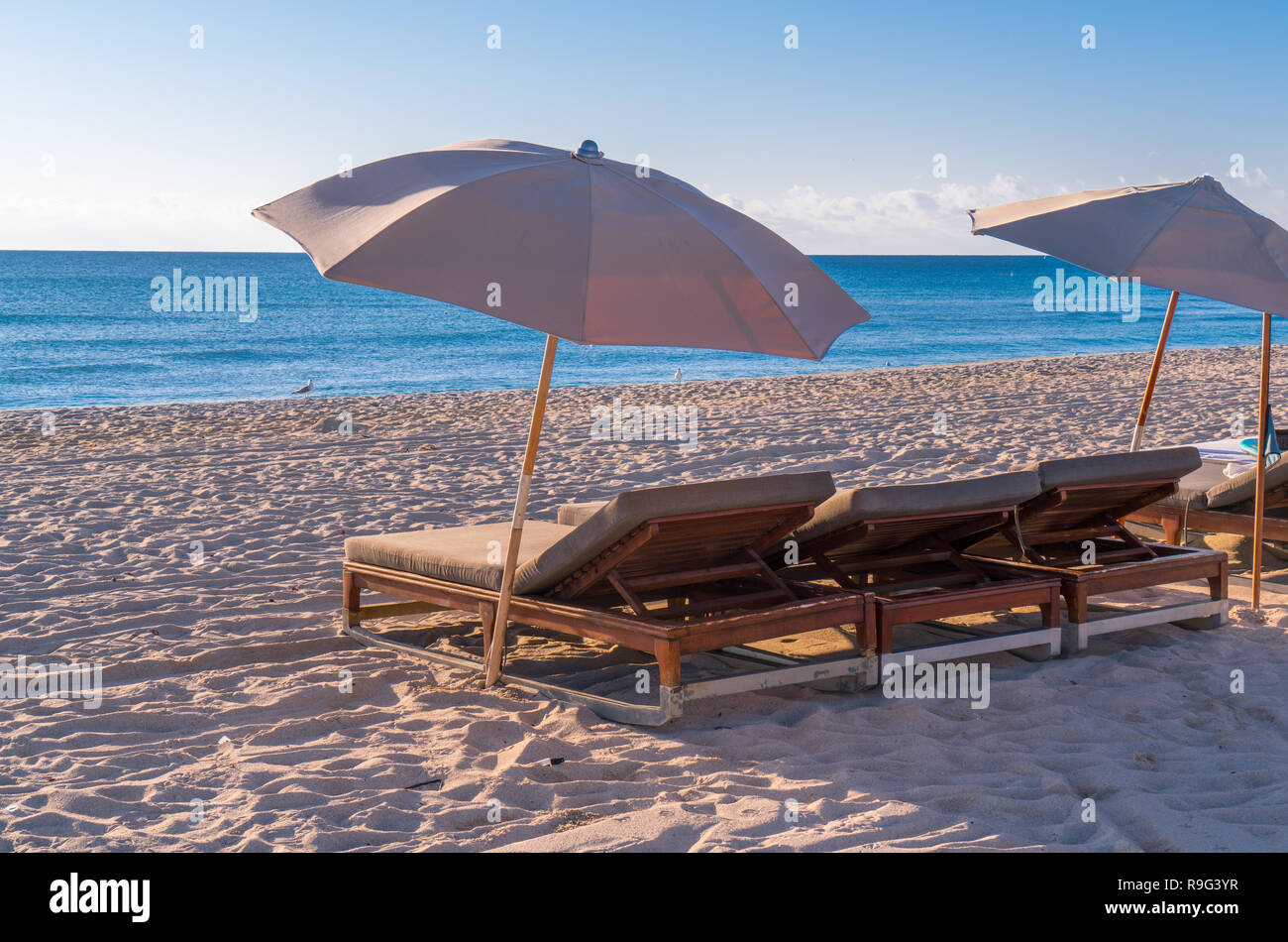 Liegestühle und Sonnenschirme aufgereiht auf South Beach, Florida Stockfoto