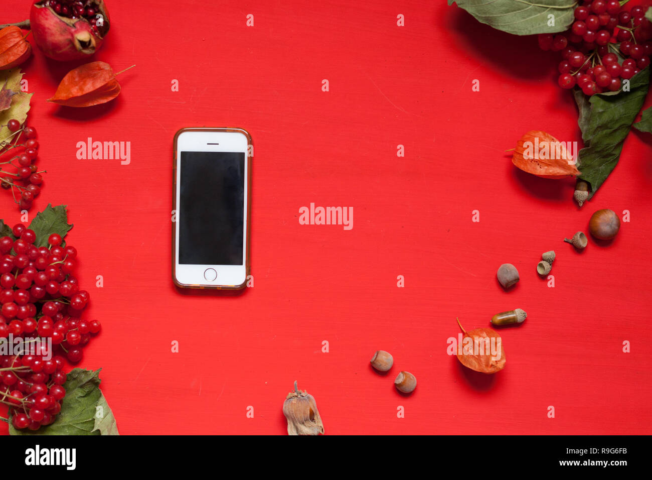 Früchte, Nüsse bunte Blätter auf dem Hintergrund für Frühstück, Mittag- und Abendessen Stockfoto