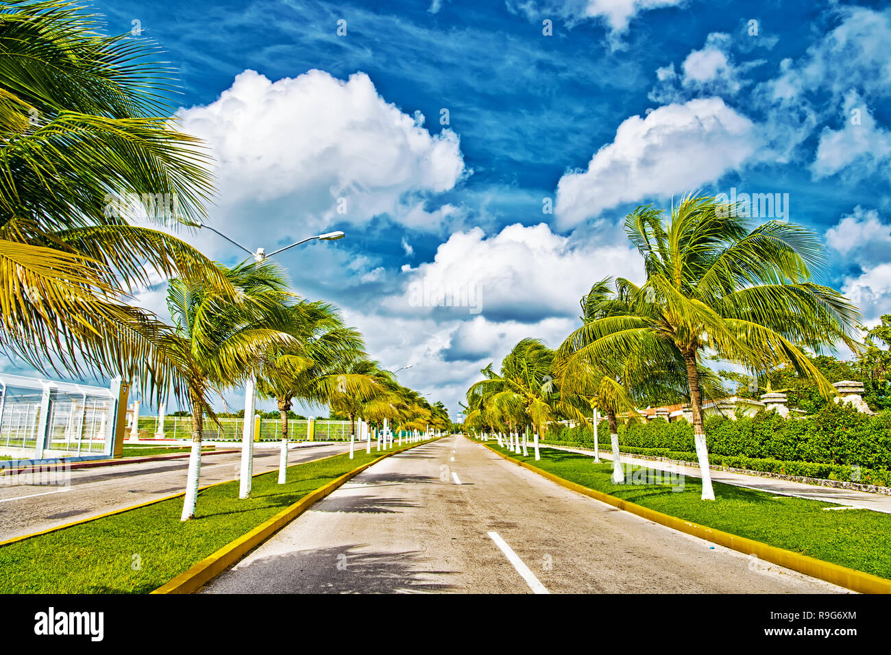Exotische Autobahn Straße mit grünen Palmen in sonnigem windigen Wetter im  Freien auf blauer Himmel mit weißen Wolken Hintergrund, Cozumel, Mexiko  Stockfotografie - Alamy